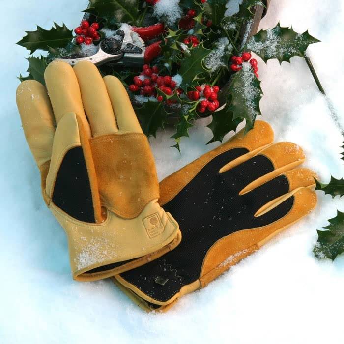 Winter Touch Gloves Blog